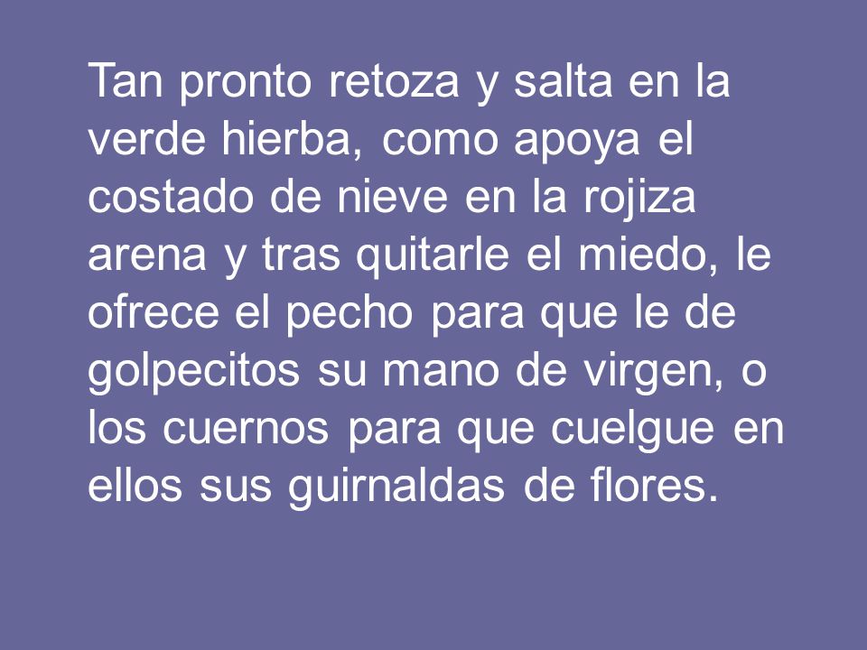 Tan pronto retoza y salta en la verde hierba, como apoya el costado de nieve en la rojiza arena y tras quitarle el miedo, le ofrece el pecho para que le de golpecitos su mano de virgen, o los cuernos para que cuelgue en ellos sus guirnaldas de flores.