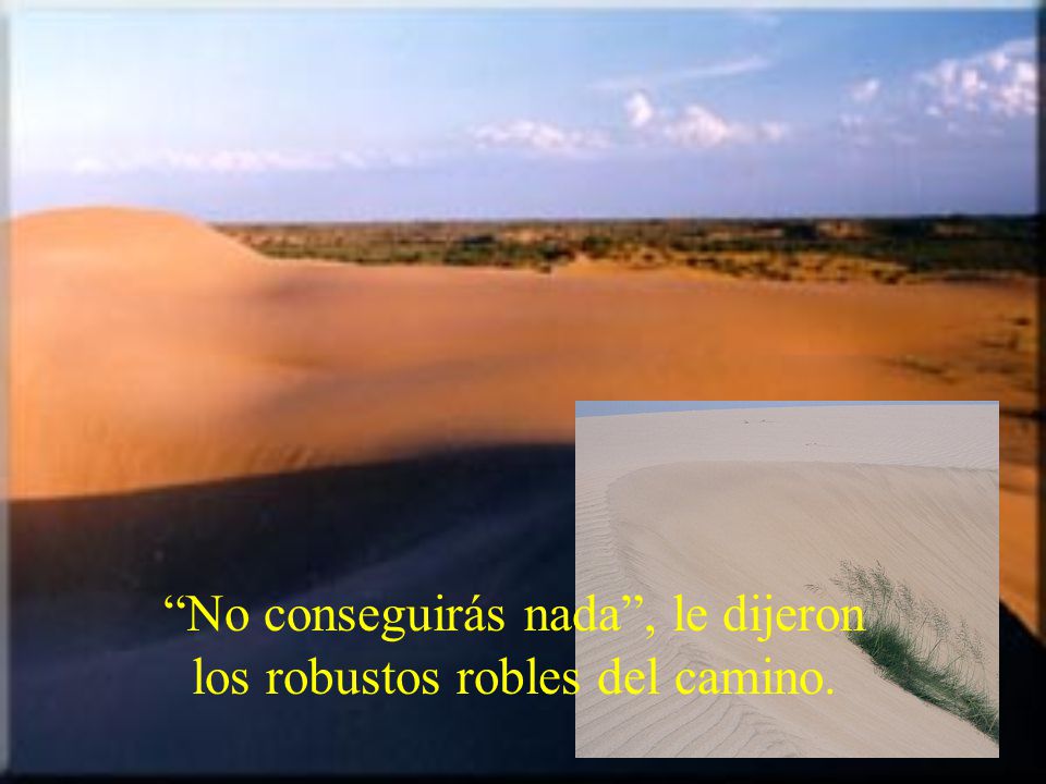No conseguirás nada , le dijeron los robustos robles del camino.