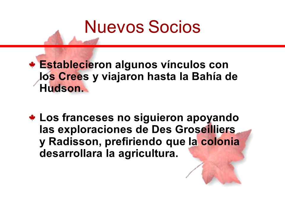 Nuevos Socios Establecieron algunos vínculos con los Crees y viajaron hasta la Bahía de Hudson.