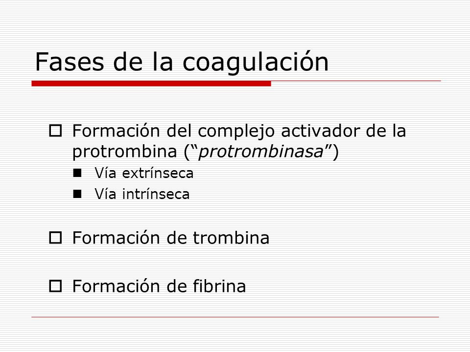 Fases de la coagulación