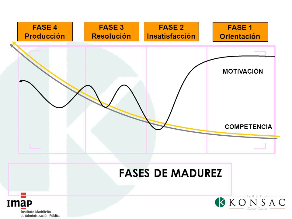 FASES DE MADUREZ FASE 1 Orientación FASE 2 Insatisfacción FASE 3