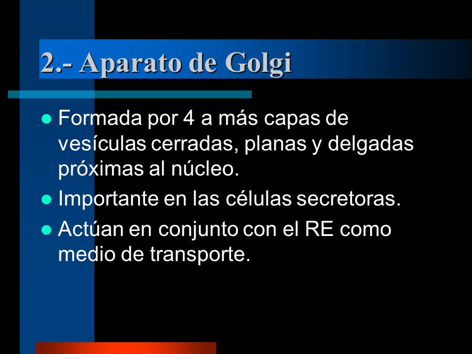 2.- Aparato de Golgi Formada por 4 a más capas de vesículas cerradas, planas y delgadas próximas al núcleo.