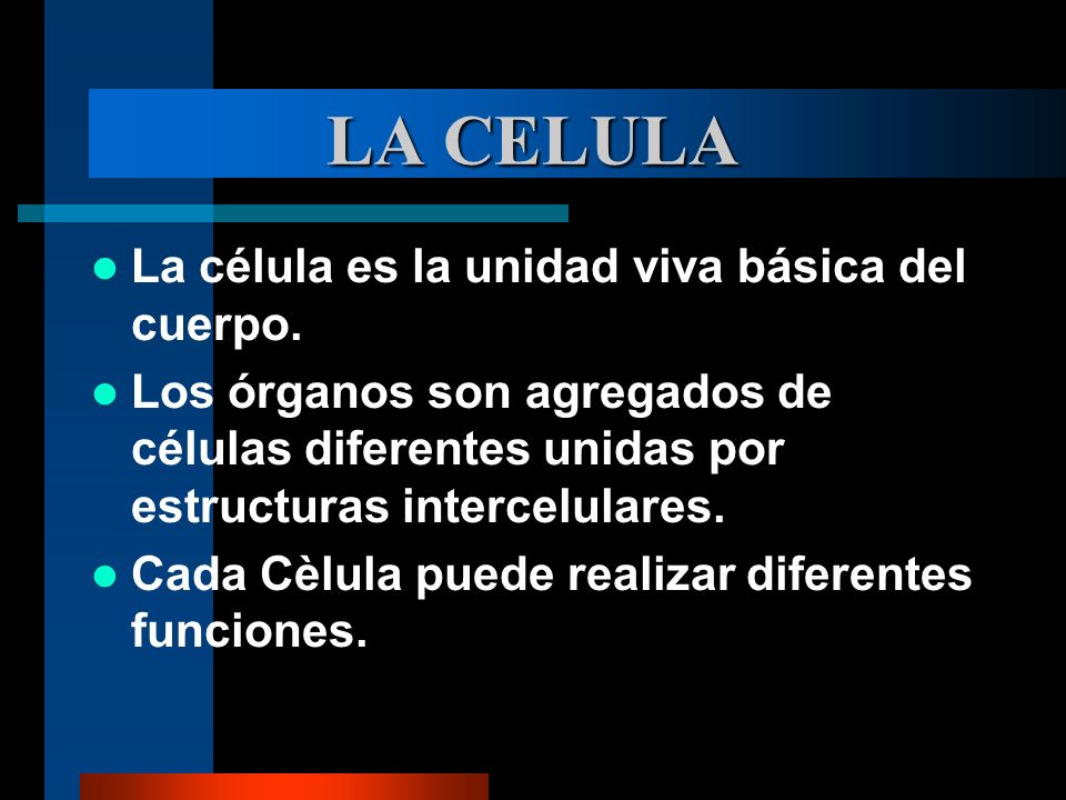 LA CELULA La célula es la unidad viva básica del cuerpo.
