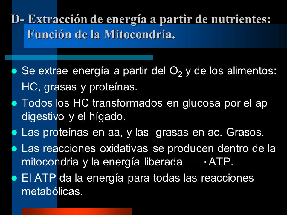 D- Extracción de energía a partir de nutrientes: Función de la Mitocondria.