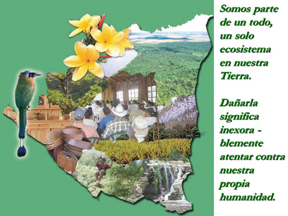 Somos parte de un todo, un solo ecosistema en nuestra Tierra.