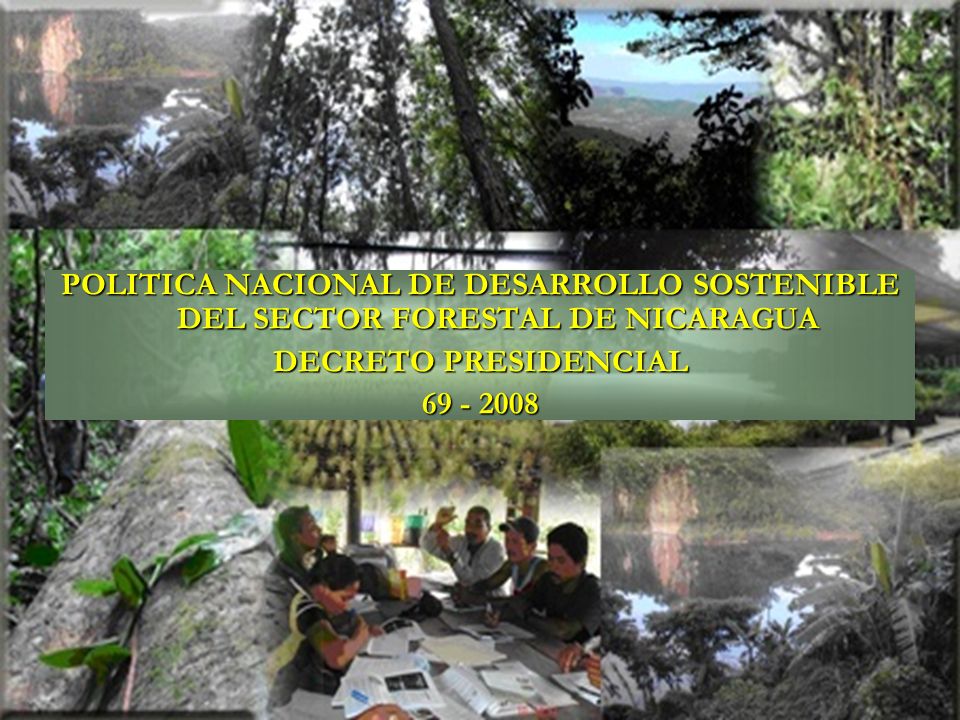 POLITICA NACIONAL DE DESARROLLO SOSTENIBLE DEL SECTOR FORESTAL DE NICARAGUA