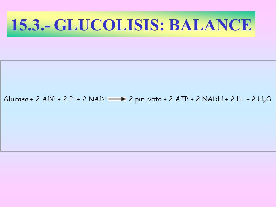 GLUCOLISIS: BALANCE Glucosa + 2 ADP + 2 Pi + 2 NAD+ 2 piruvato + 2 ATP + 2 NADH + 2 H+ + 2 H2O.