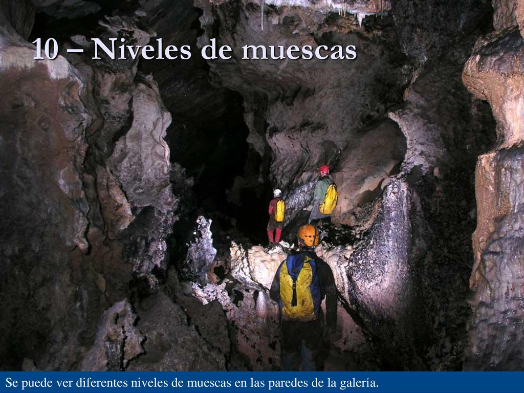 10 – Niveles de muescas Se puede ver diferentes niveles de muescas en las paredes de la galería.