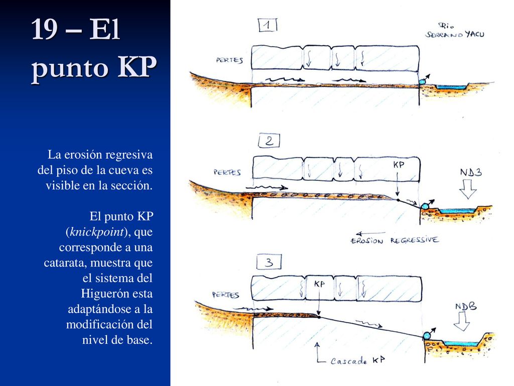19 – El punto KP La erosión regresiva del piso de la cueva es visible en la sección.