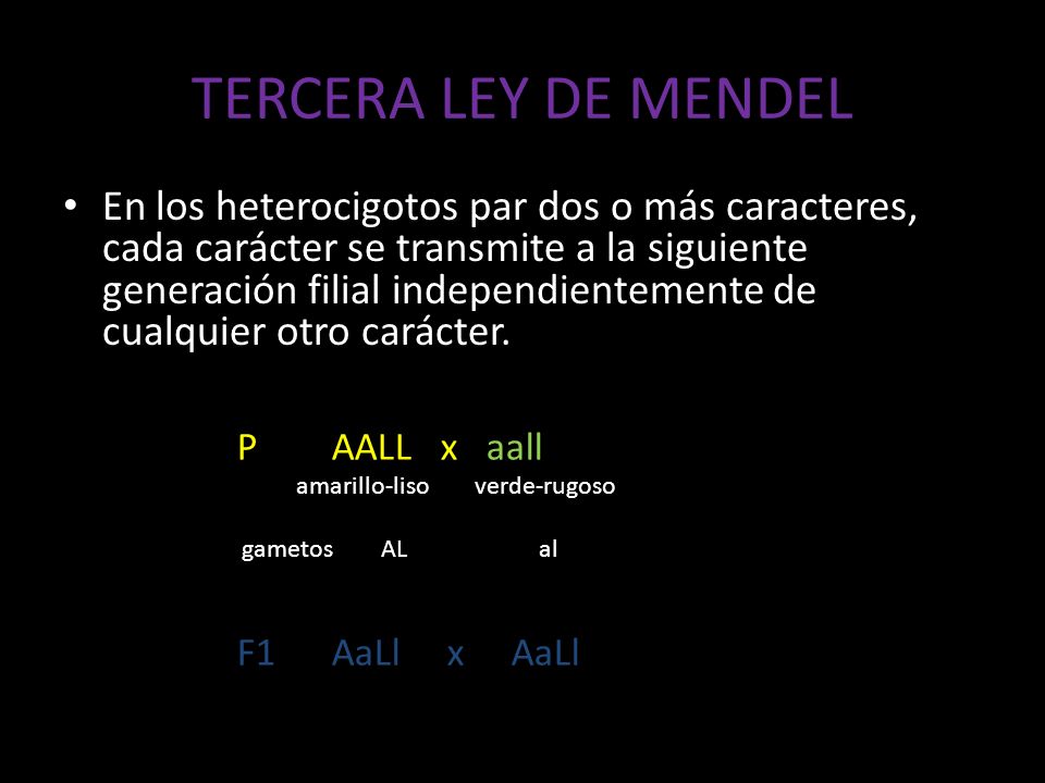 TERCERA LEY DE MENDEL