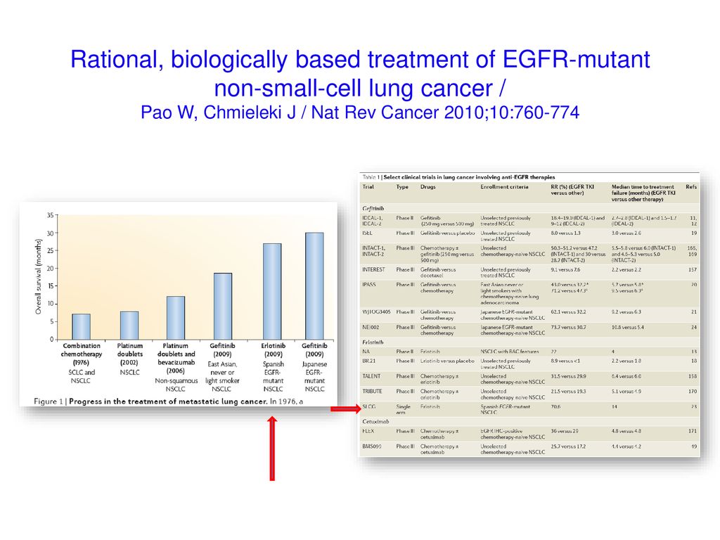 Rational, biologically based treatment of EGFR-mutant non-small-cell lung cancer / Pao W, Chmieleki J / Nat Rev Cancer 2010;10: