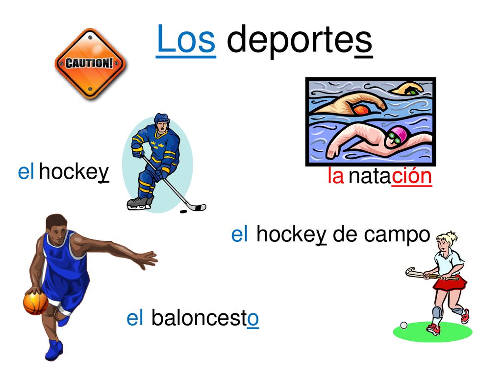 Los deportes el hockey la natación el hockey de campo el baloncesto