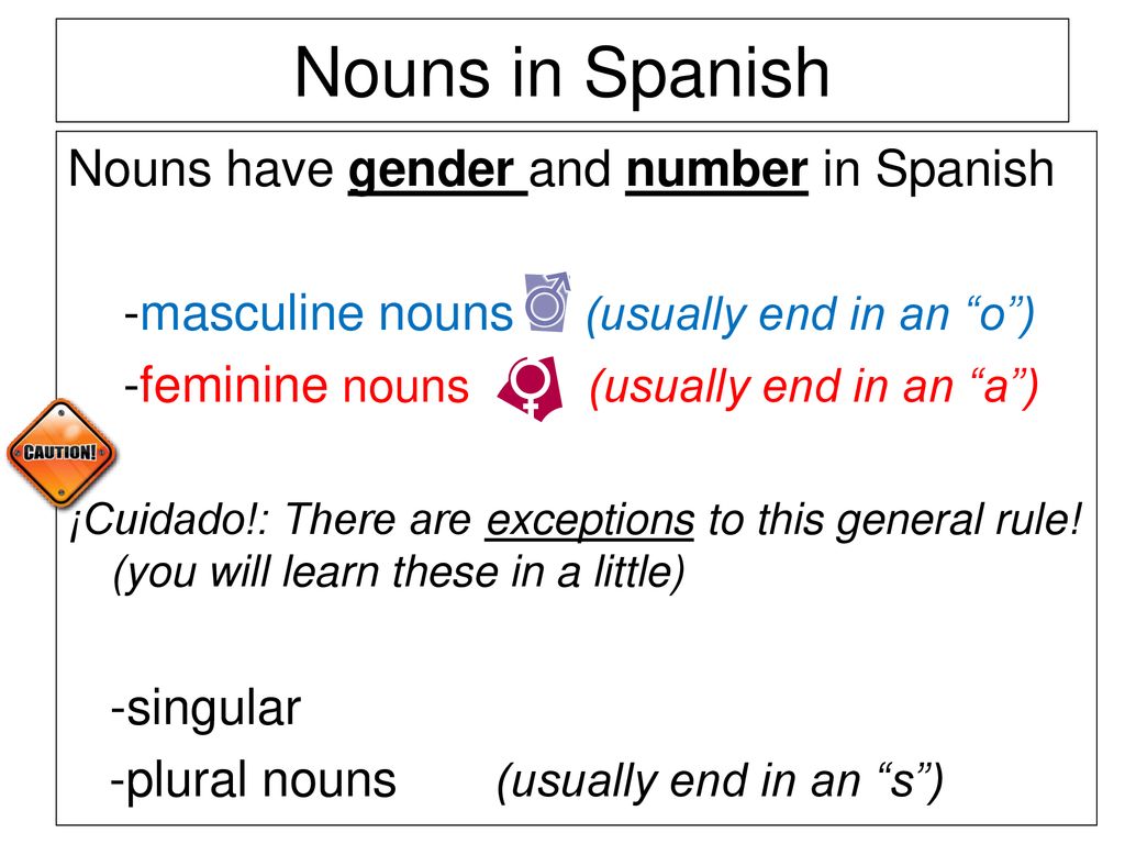 Nouns in Spanish Nouns have gender and number in Spanish