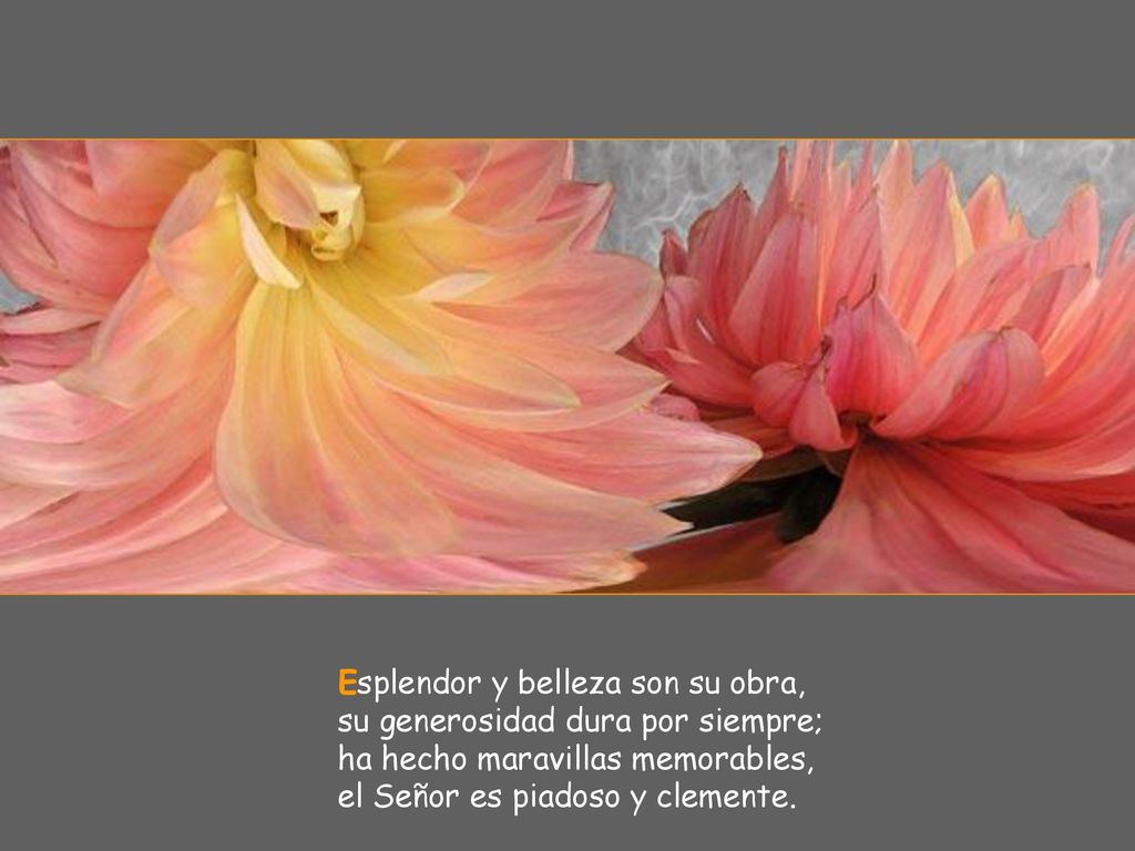 Esplendor y belleza son su obra, su generosidad dura por siempre; ha hecho maravillas memorables, el Señor es piadoso y clemente.