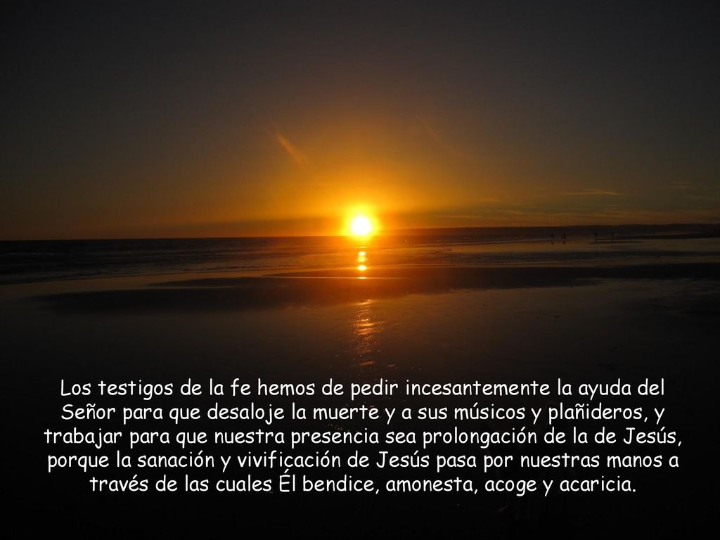 Los testigos de la fe hemos de pedir incesantemente la ayuda del Señor para que desaloje la muerte y a sus músicos y plañideros, y trabajar para que nuestra presencia sea prolongación de la de Jesús, porque la sanación y vivificación de Jesús pasa por nuestras manos a través de las cuales Él bendice, amonesta, acoge y acaricia.