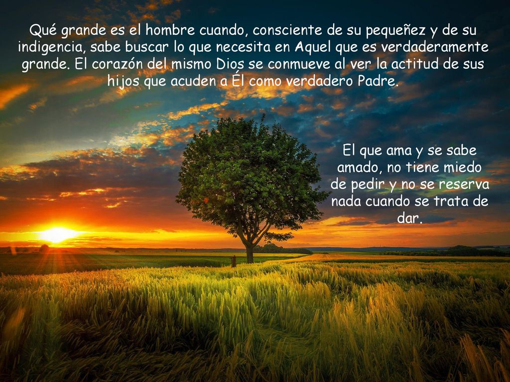 Qué grande es el hombre cuando, consciente de su pequeñez y de su indigencia, sabe buscar lo que necesita en Aquel que es verdaderamente grande. El corazón del mismo Dios se conmueve al ver la actitud de sus hijos que acuden a Él como verdadero Padre.