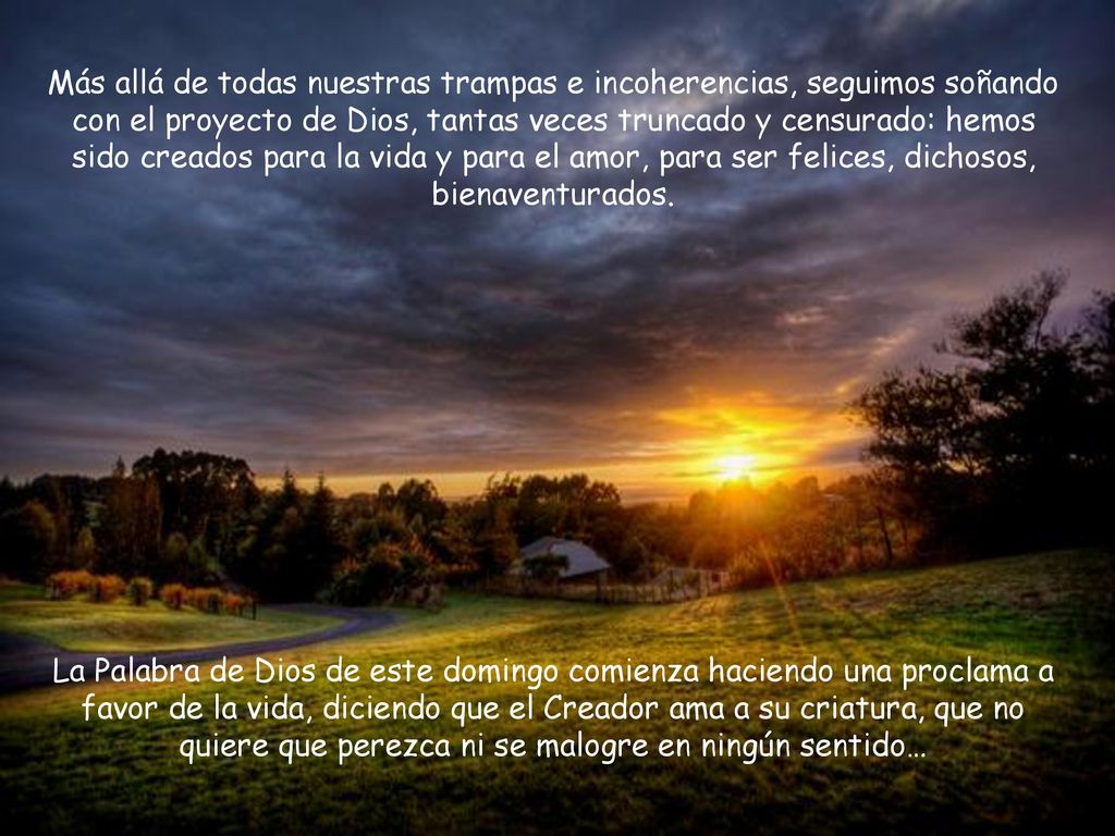 Más allá de todas nuestras trampas e incoherencias, seguimos soñando con el proyecto de Dios, tantas veces truncado y censurado: hemos sido creados para la vida y para el amor, para ser felices, dichosos, bienaventurados.