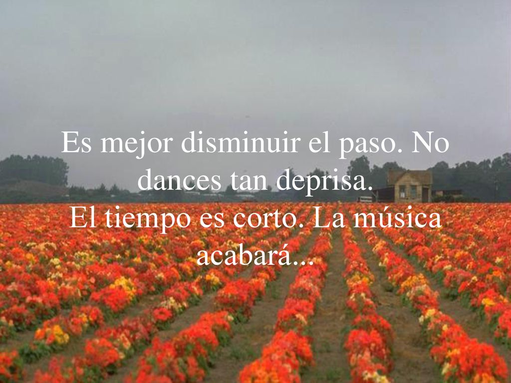Es mejor disminuir el paso. No dances tan deprisa. El tiempo es corto