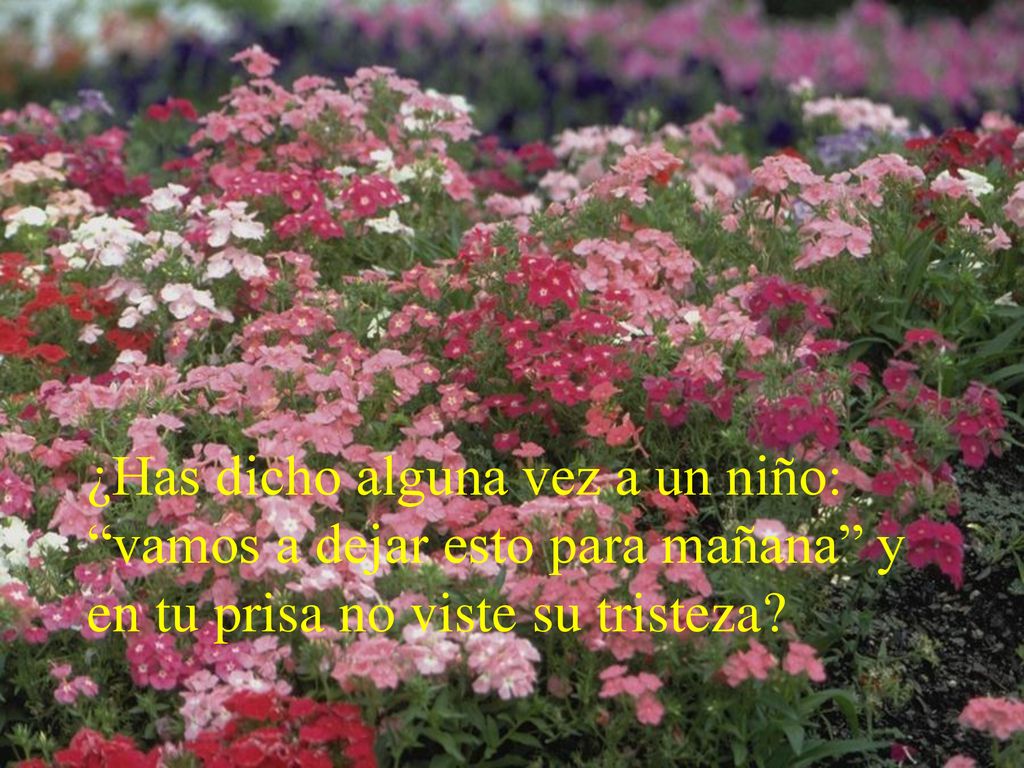 ¿Has dicho alguna vez a un niño: vamos a dejar esto para mañana y en tu prisa no viste su tristeza