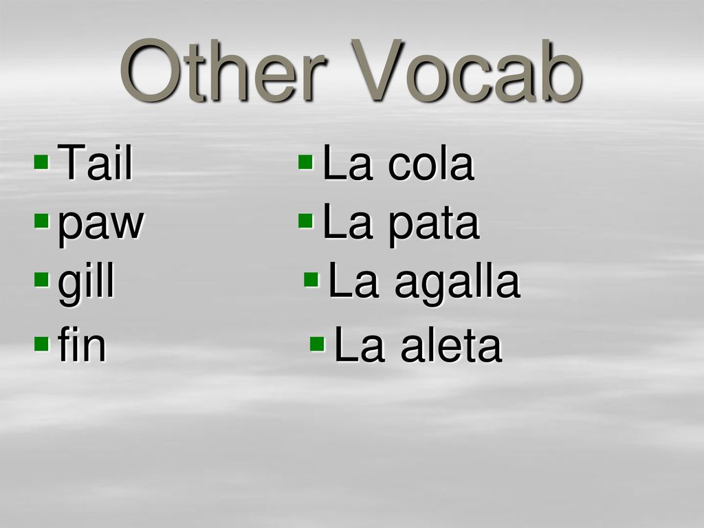 Other Vocab Tail La cola paw La pata gill La agalla fin La aleta