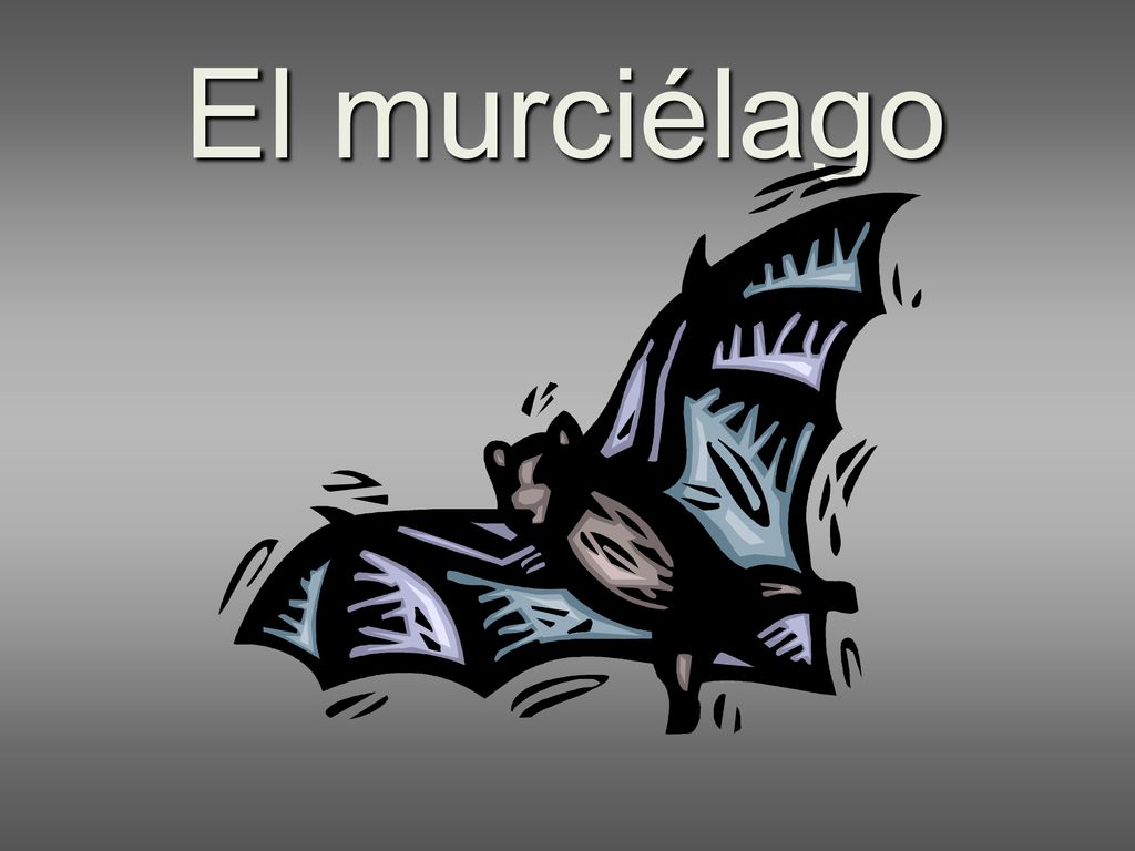El murciélago