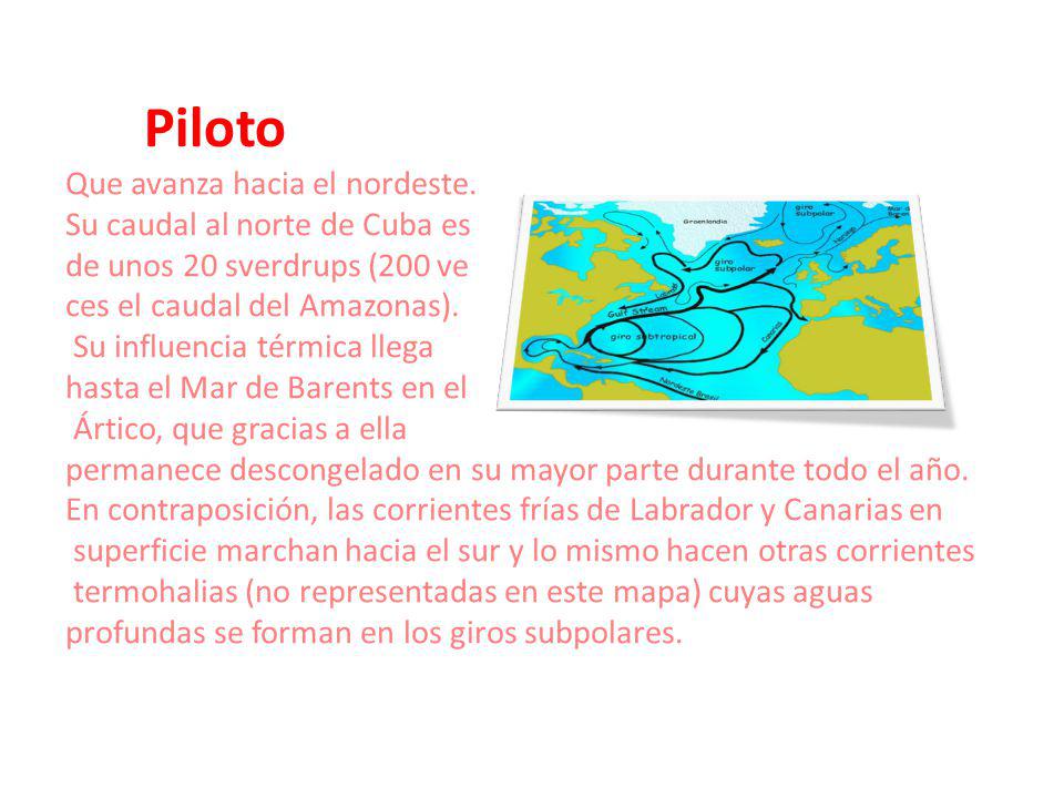 Piloto Que avanza hacia el nordeste. Su caudal al norte de Cuba es