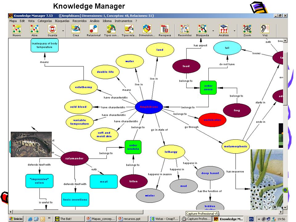Knowledge Manager