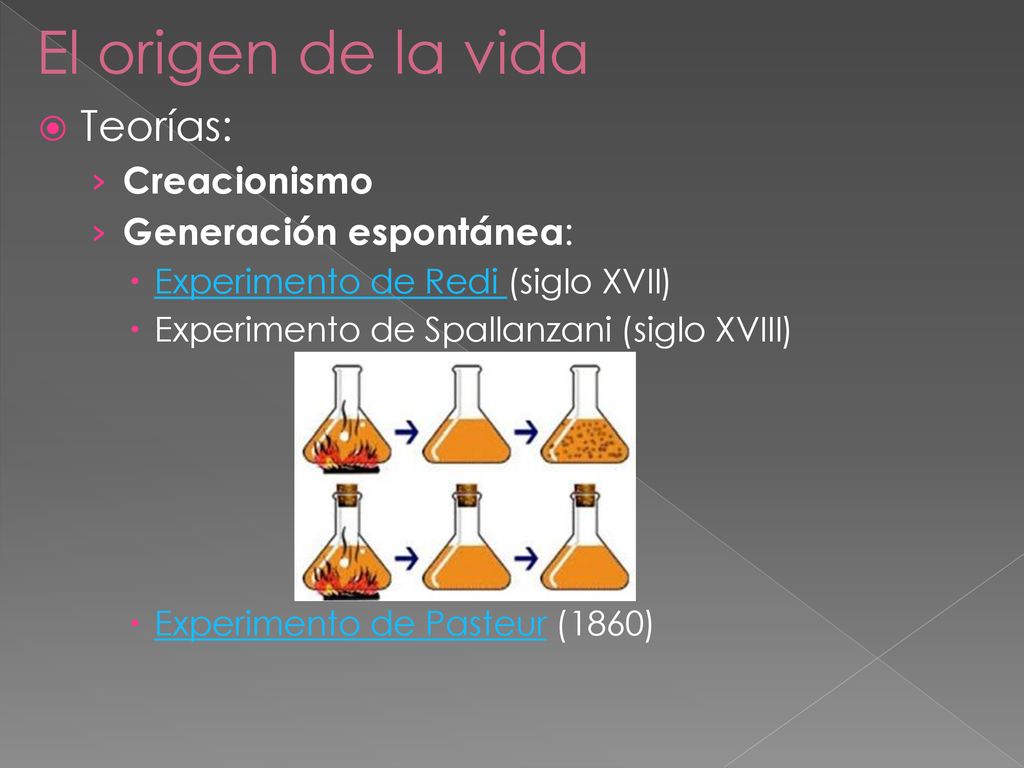 El origen de la vida Teorías: Creacionismo Generación espontánea: