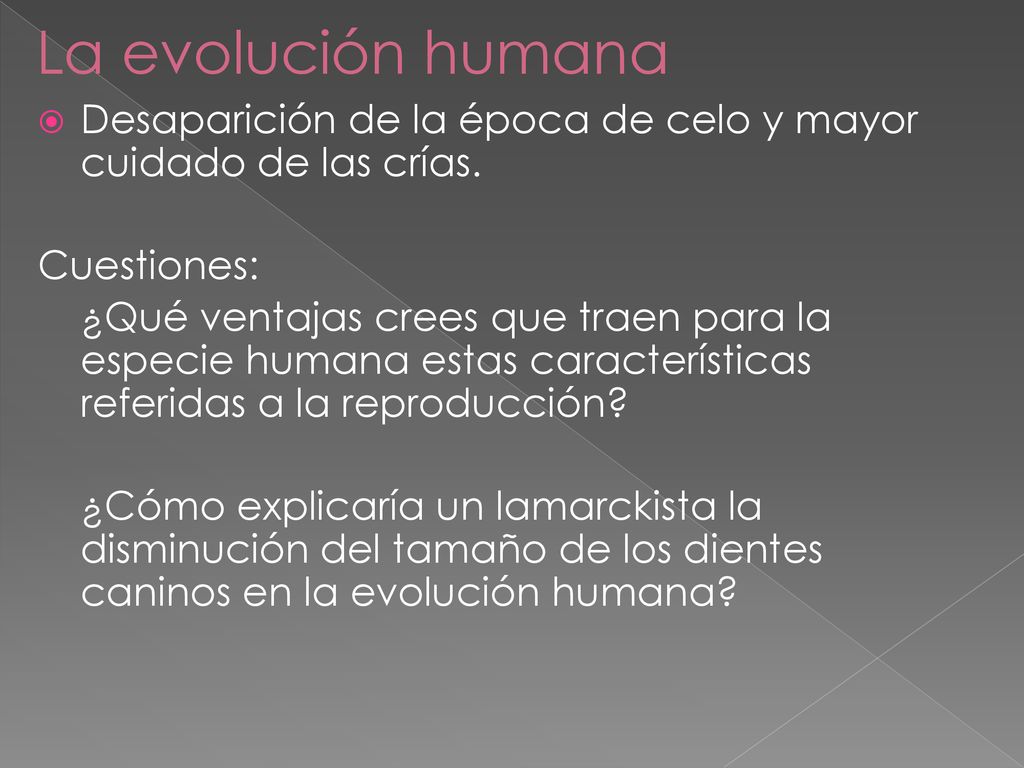 La evolución humana Desaparición de la época de celo y mayor cuidado de las crías. Cuestiones: