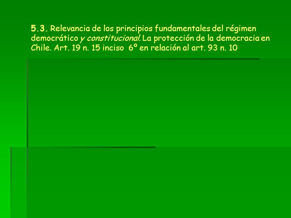5.3. Relevancia de los principios fundamentales del régimen democrático y constitucional.