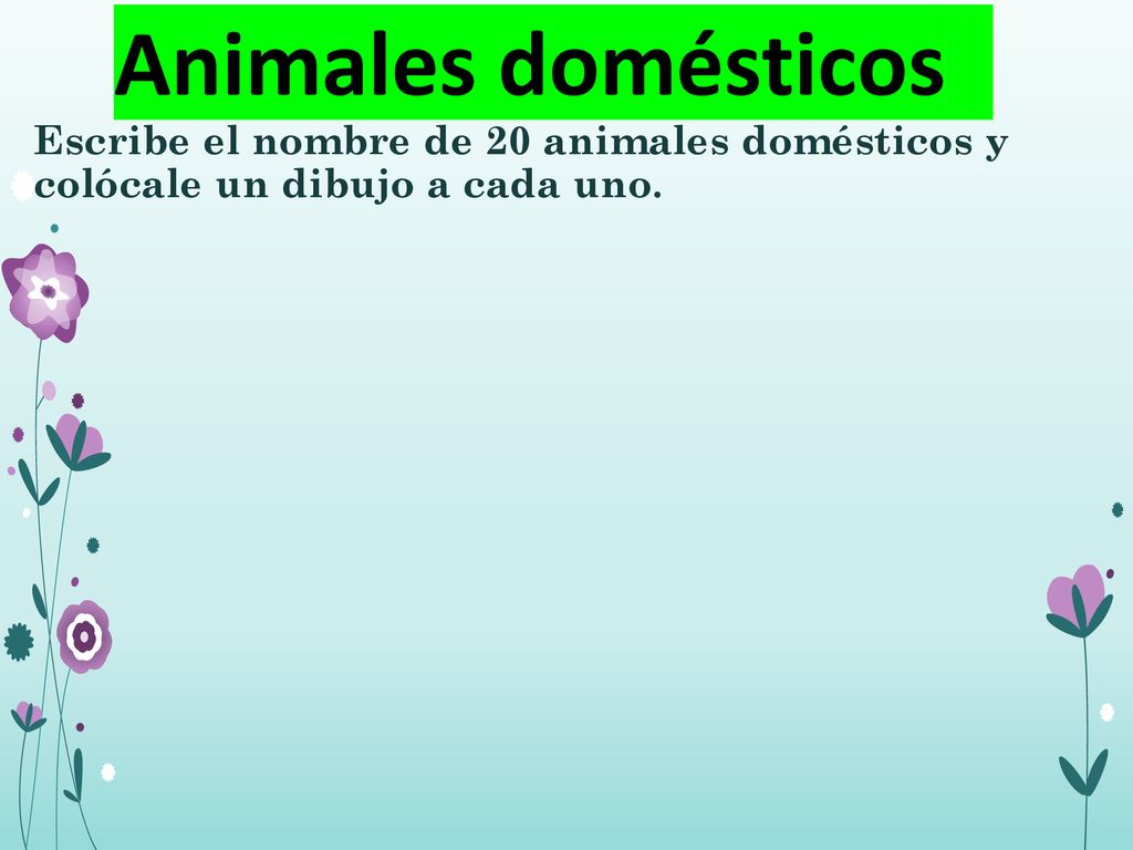 Animales domésticos Escribe el nombre de 20 animales domésticos y colócale un dibujo a cada uno.