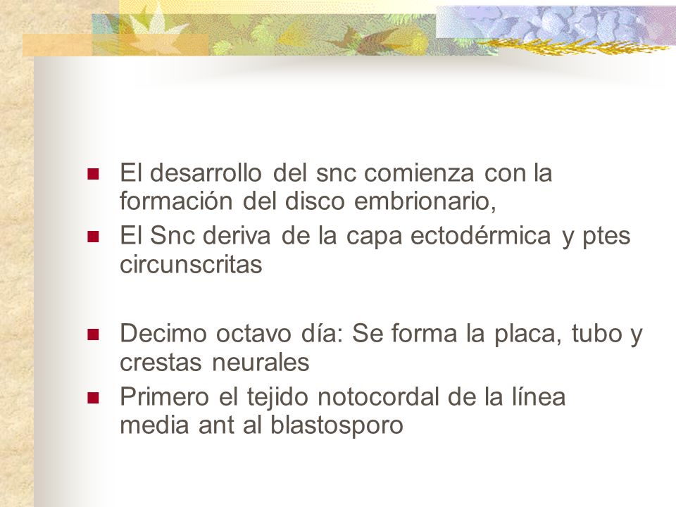El desarrollo del snc comienza con la formación del disco embrionario,