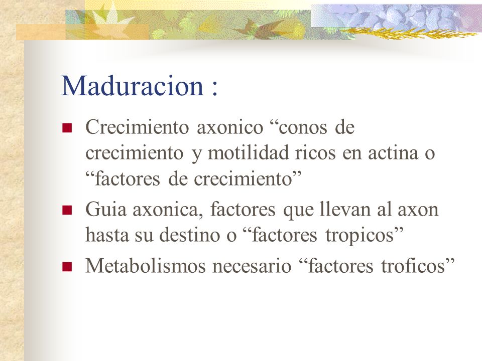 Maduracion : Crecimiento axonico conos de crecimiento y motilidad ricos en actina o factores de crecimiento
