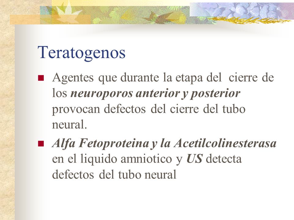 Teratogenos Agentes que durante la etapa del cierre de los neuroporos anterior y posterior provocan defectos del cierre del tubo neural.