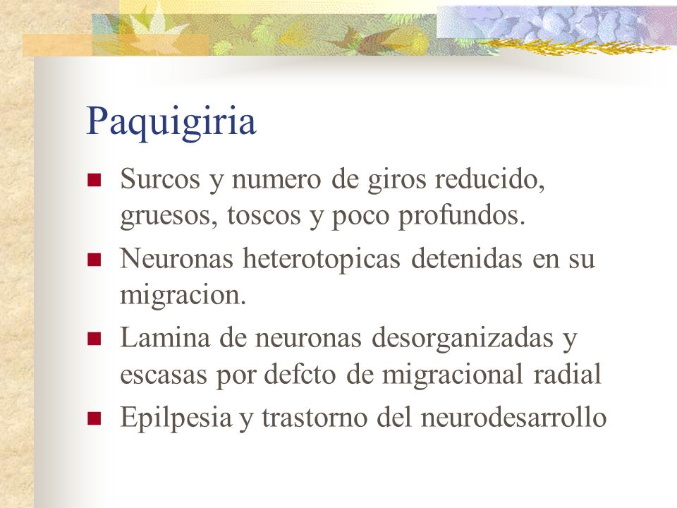 Paquigiria Surcos y numero de giros reducido, gruesos, toscos y poco profundos. Neuronas heterotopicas detenidas en su migracion.