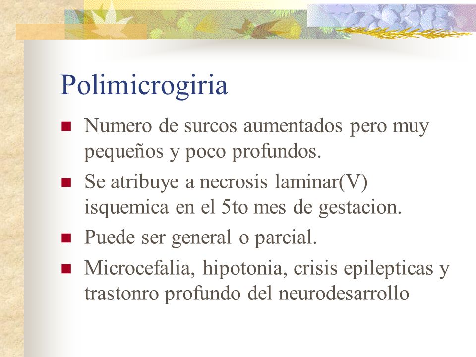 Polimicrogiria Numero de surcos aumentados pero muy pequeños y poco profundos.