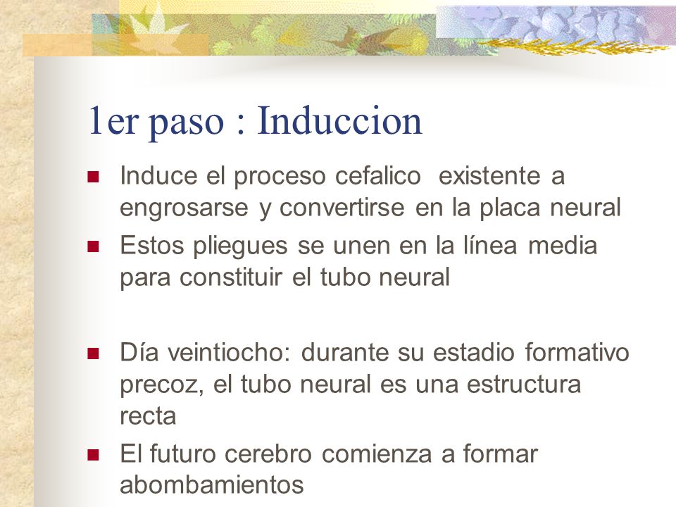1er paso : Induccion Induce el proceso cefalico existente a engrosarse y convertirse en la placa neural.