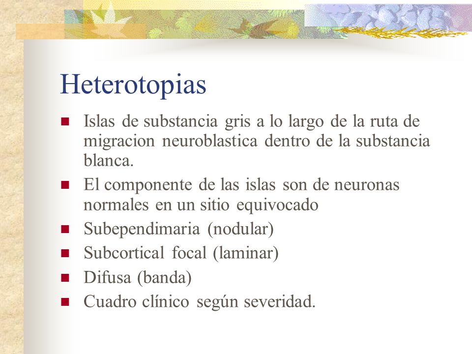 Heterotopias Islas de substancia gris a lo largo de la ruta de migracion neuroblastica dentro de la substancia blanca.