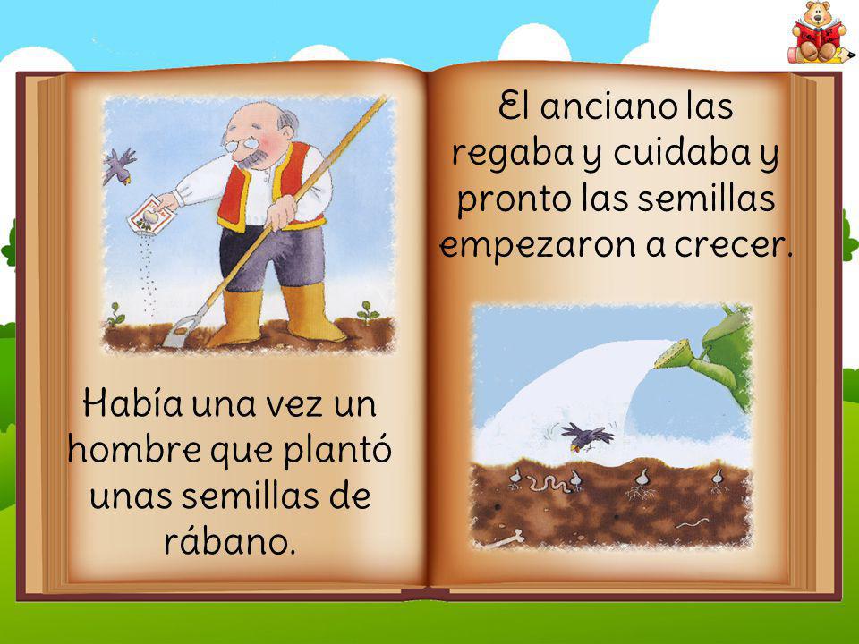 Había una vez un hombre que plantó unas semillas de rábano.