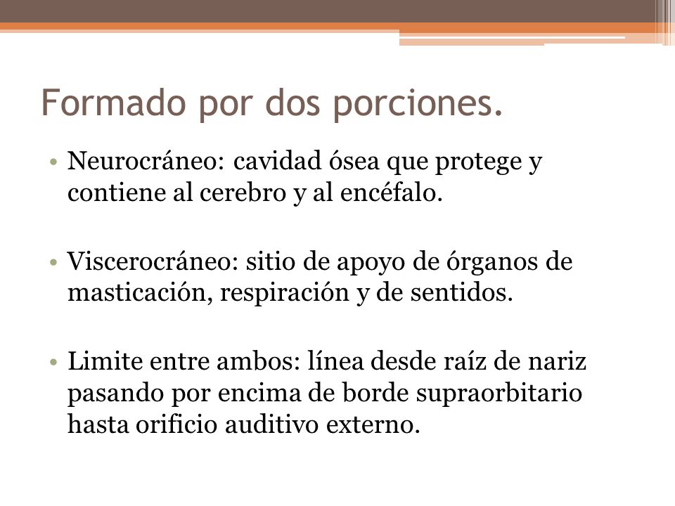 Formado por dos porciones.