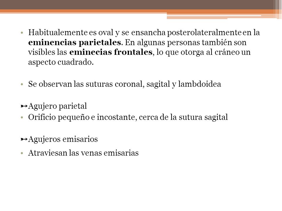 Habitualemente es oval y se ensancha posterolateralmente en la eminencias parietales. En algunas personas también son visibles las eminecias frontales, lo que otorga al cráneo un aspecto cuadrado.