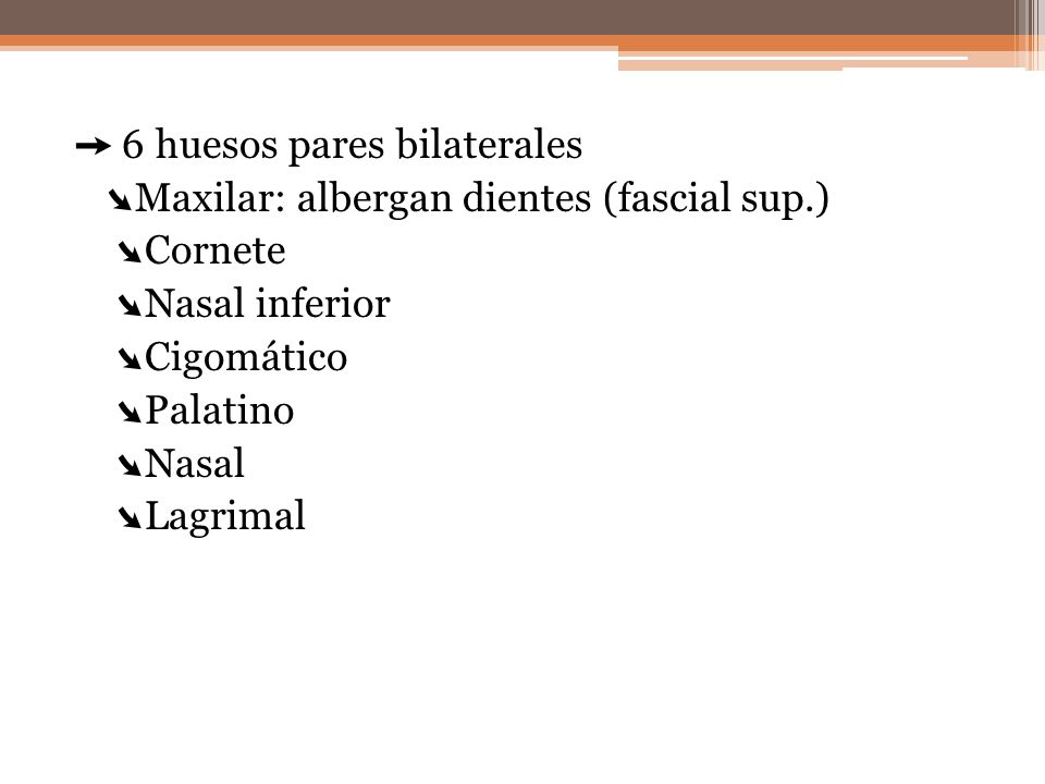 ➙ 6 huesos pares bilaterales ➘Maxilar: albergan dientes (fascial sup