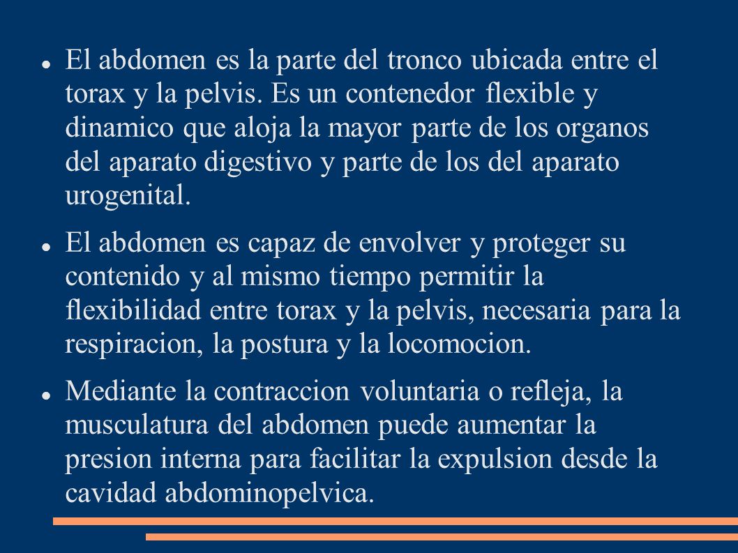 El abdomen es la parte del tronco ubicada entre el torax y la pelvis