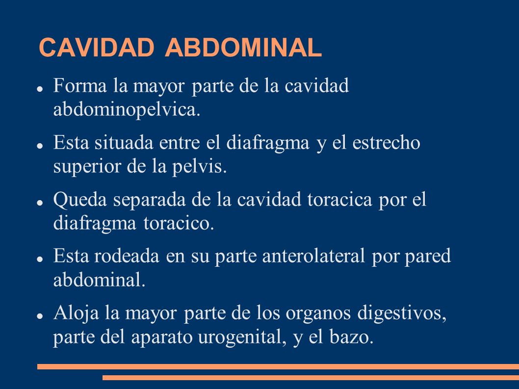CAVIDAD ABDOMINAL Forma la mayor parte de la cavidad abdominopelvica.