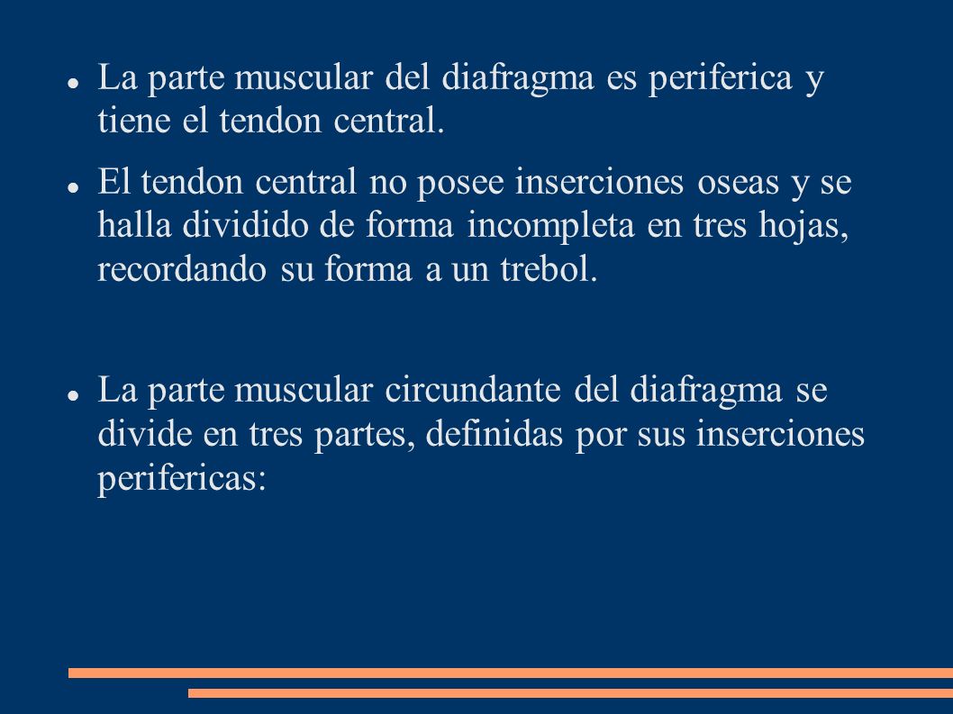 La parte muscular del diafragma es periferica y tiene el tendon central.