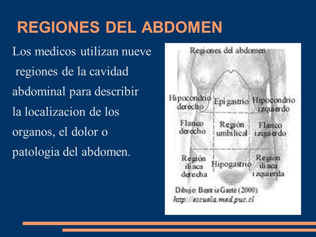 REGIONES DEL ABDOMEN Los medicos utilizan nueve regiones de la cavidad