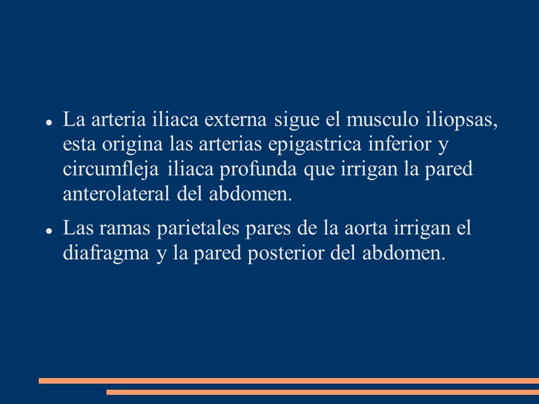 La arteria iliaca externa sigue el musculo iliopsas, esta origina las arterias epigastrica inferior y circumfleja iliaca profunda que irrigan la pared anterolateral del abdomen.