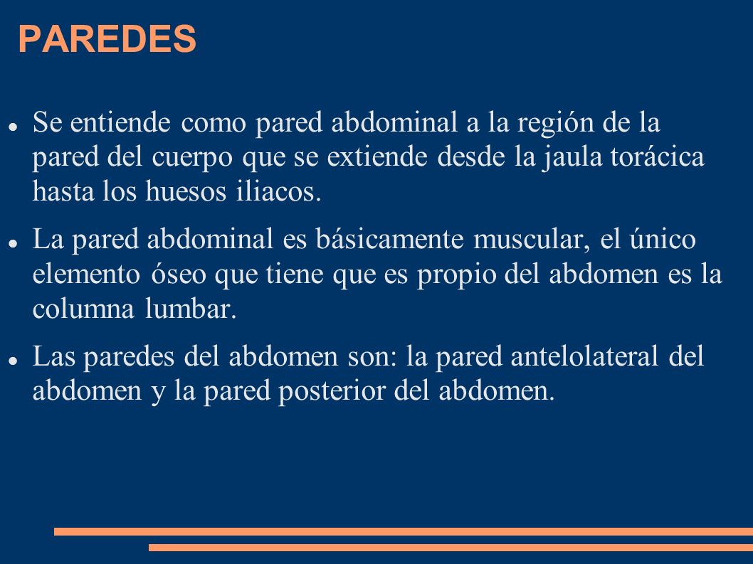 PAREDES Se entiende como pared abdominal a la región de la pared del cuerpo que se extiende desde la jaula torácica hasta los huesos iliacos.