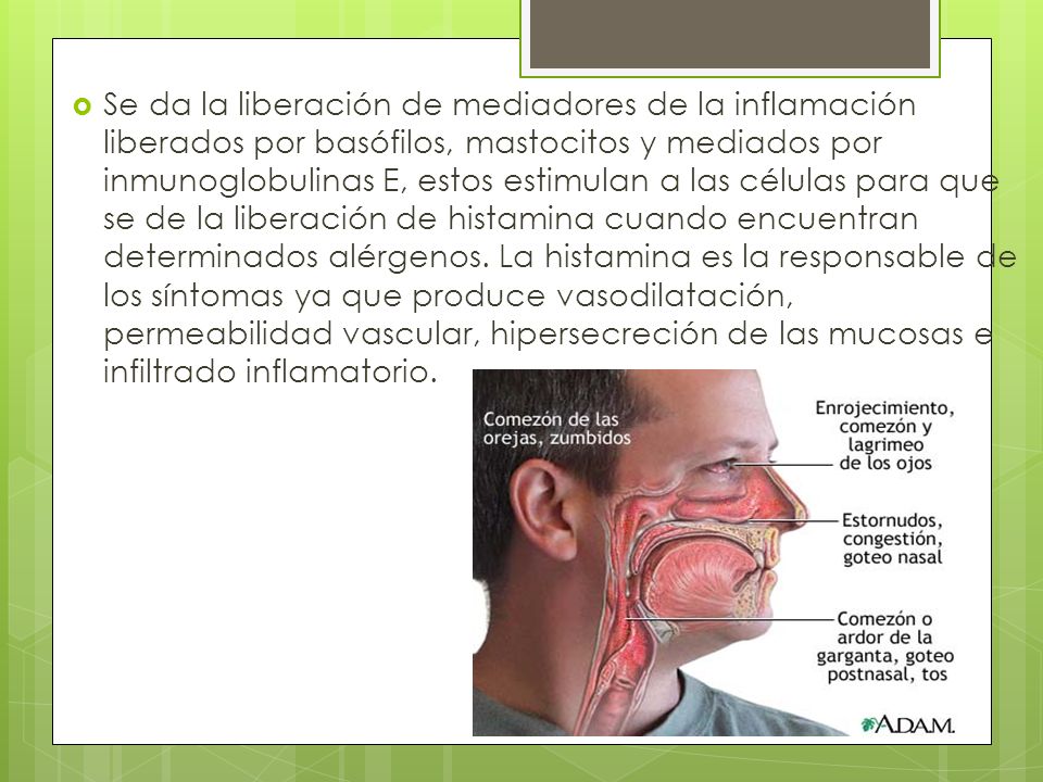 Se da la liberación de mediadores de la inflamación liberados por basófilos, mastocitos y mediados por inmunoglobulinas E, estos estimulan a las células para que se de la liberación de histamina cuando encuentran determinados alérgenos.
