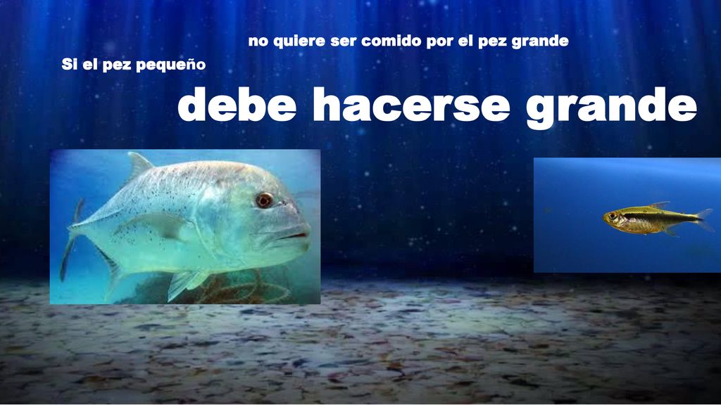debe hacerse grande no quiere ser comido por el pez grande